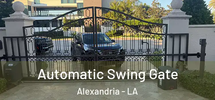 Automatic Swing Gate Alexandria - LA
