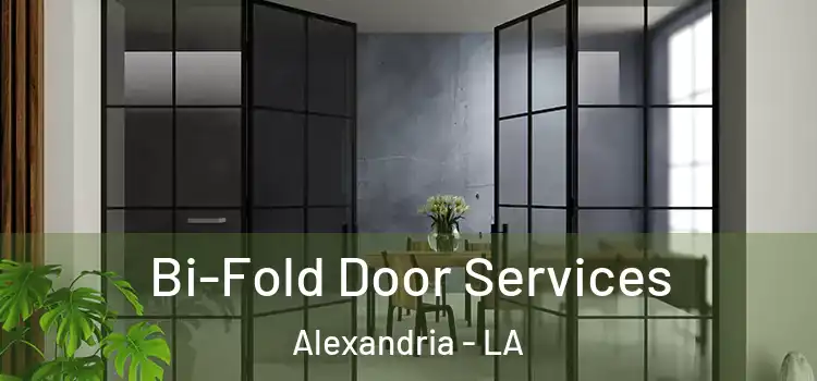  Bi-Fold Door Services Alexandria - LA