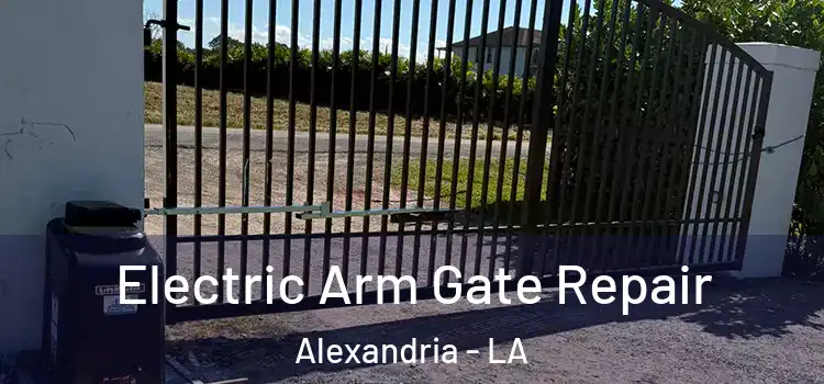 Electric Arm Gate Repair Alexandria - LA