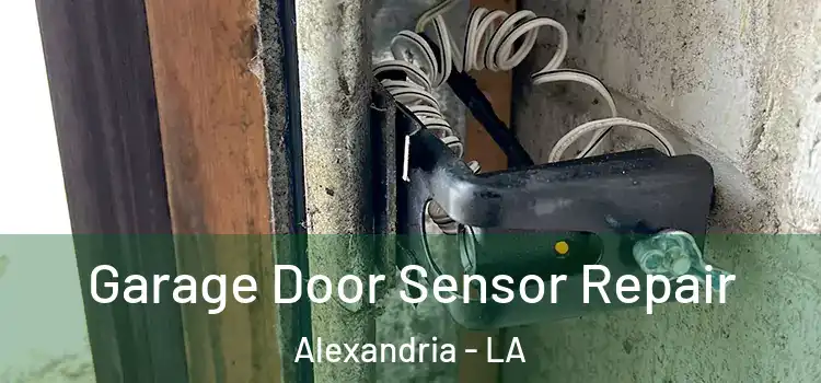 Garage Door Sensor Repair Alexandria - LA