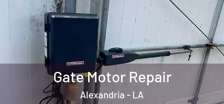 Gate Motor Repair Alexandria - LA