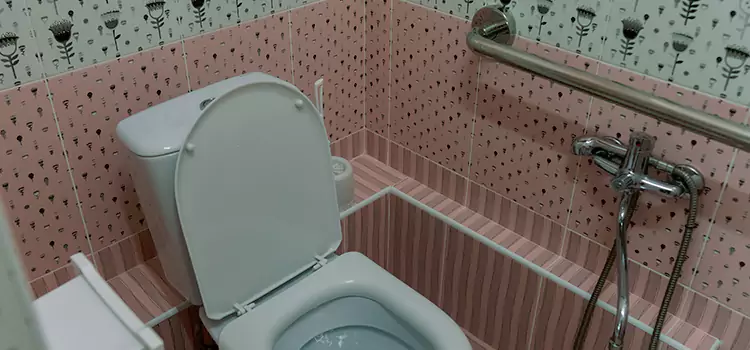 Meeting Diverse Needs With Accessible Restroom Solutions in Alexandria, LA
