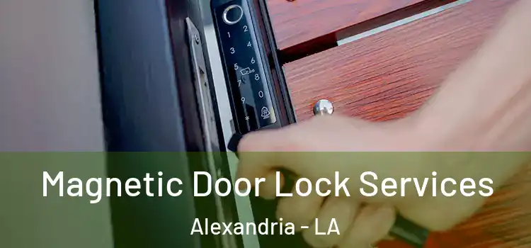 Magnetic Door Lock Services Alexandria - LA